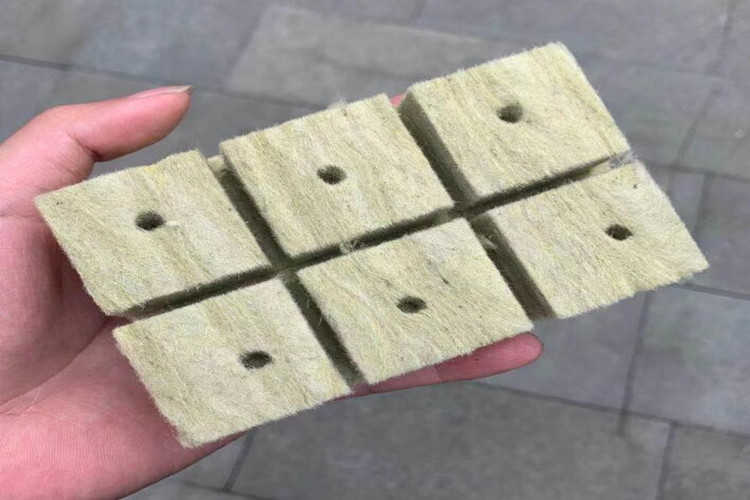 rock wool hydroponic