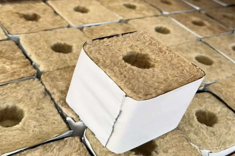 6x6x6 Grow Cubes