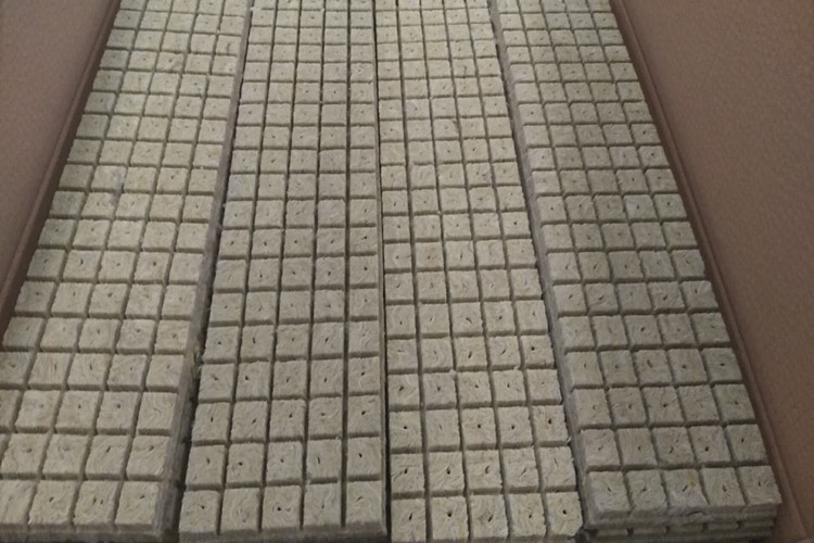 Mini Hydroponic Grow Systems Rock Wool Cubes