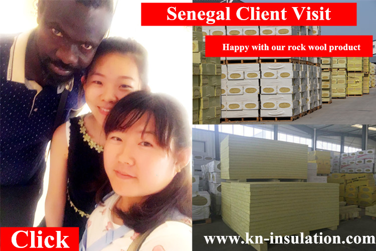 Senegal client visit for rock wool & glass wool product