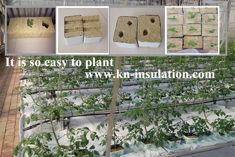 Miracle rock wool cubes for agriculture