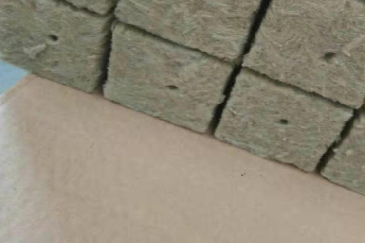 1 Inch Rockwool Cubes Growing
